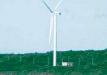 Máy phát điện gió ở Côn Đảo 